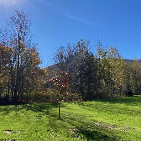 فيلا Hunter Mountain Sanctuary المظهر الخارجي الصورة