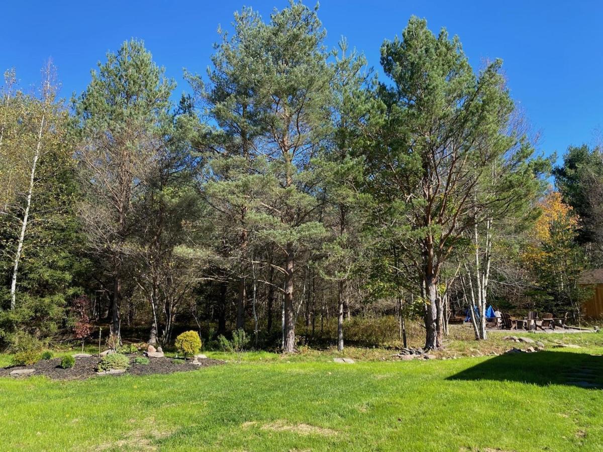 فيلا Hunter Mountain Sanctuary المظهر الخارجي الصورة
